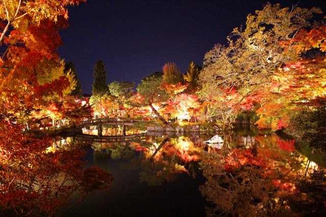 autumn in japan